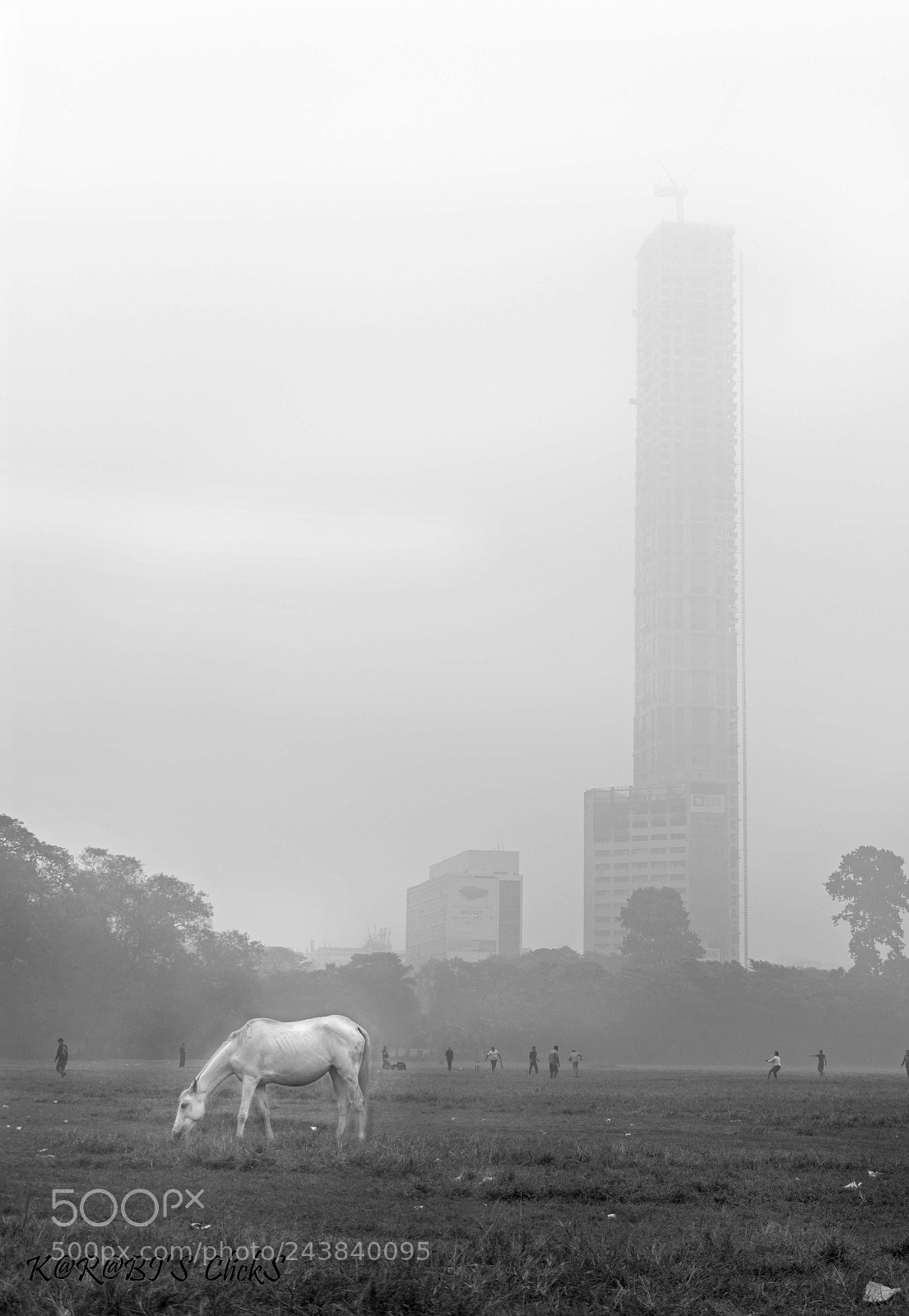 Canon EOS 7D Mark II sample photo. Foggy morning photography