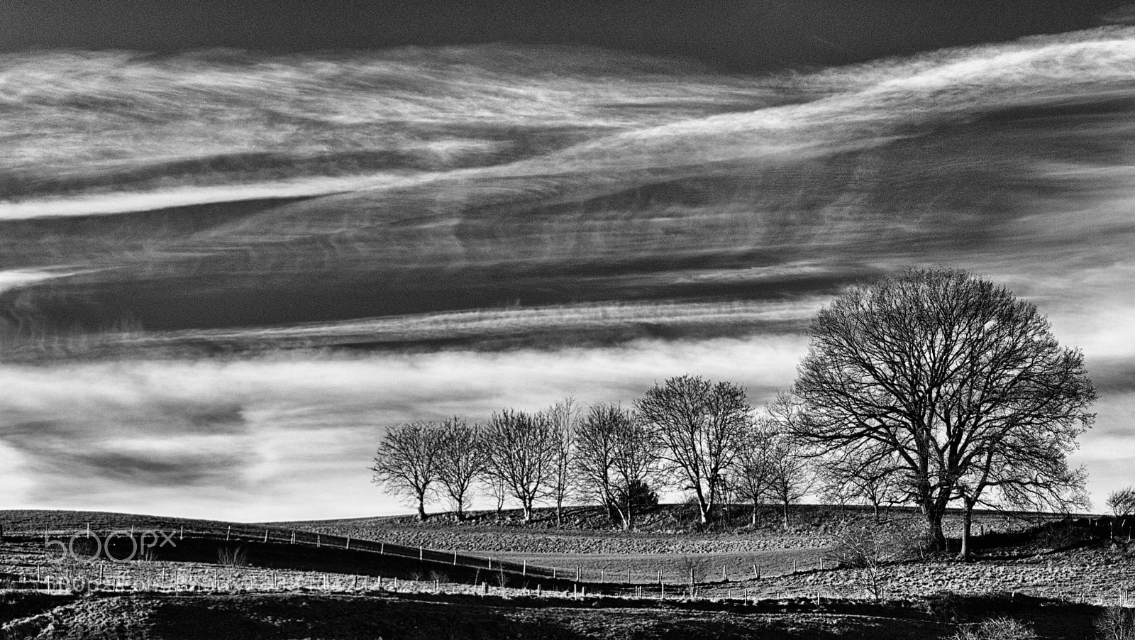 Panasonic Lumix DMC-FZ1000 sample photo. Farmland bw photography