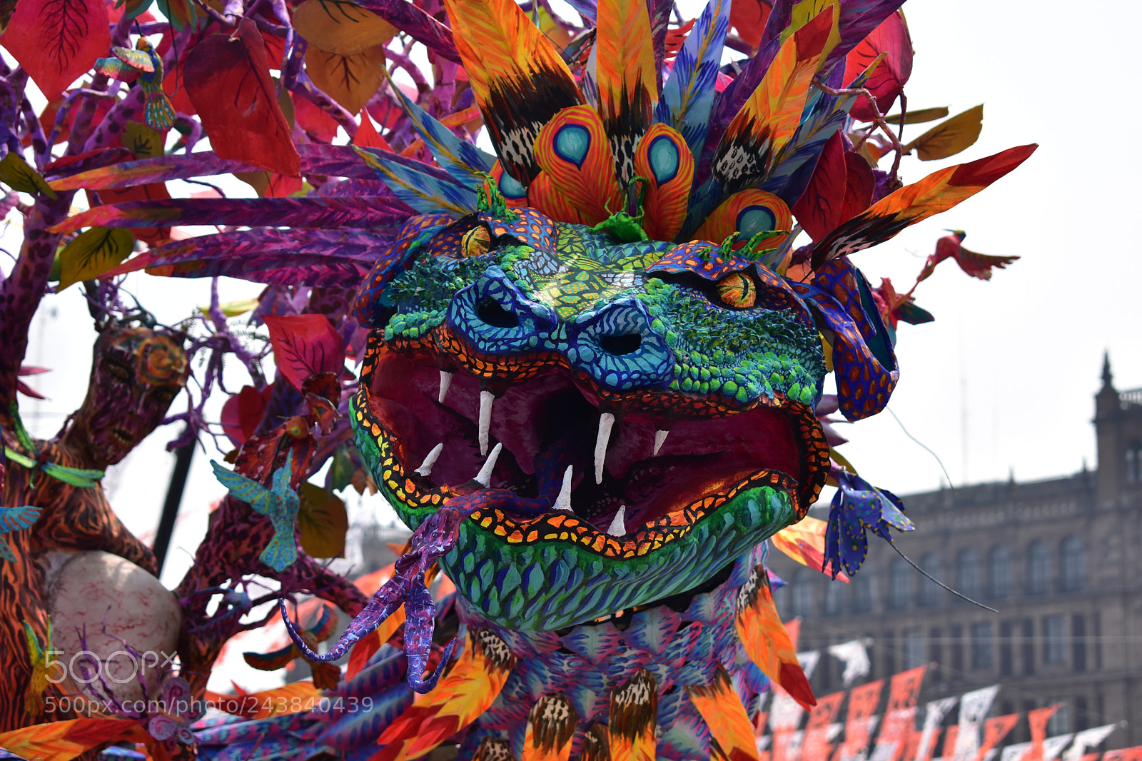 Nikon D3400 sample photo. Dragons photography