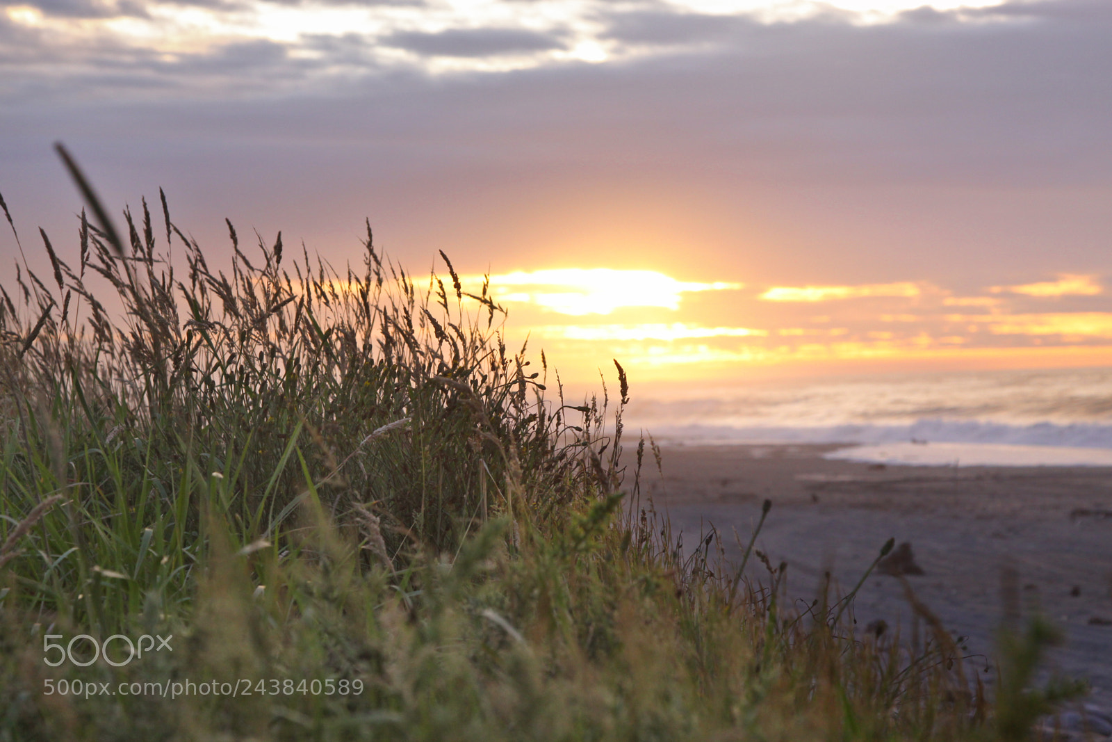 Canon EOS 50D sample photo. Ross beach photography