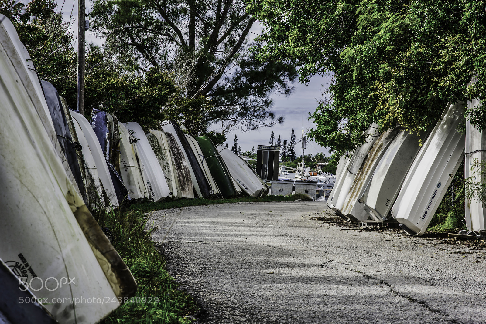 Nikon D810 sample photo. Boat dock photography
