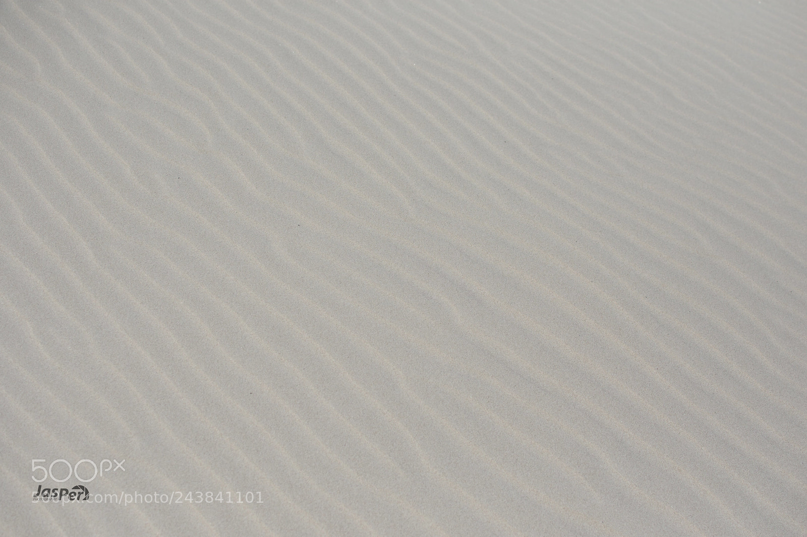 Nikon D7200 sample photo. Pattern photography