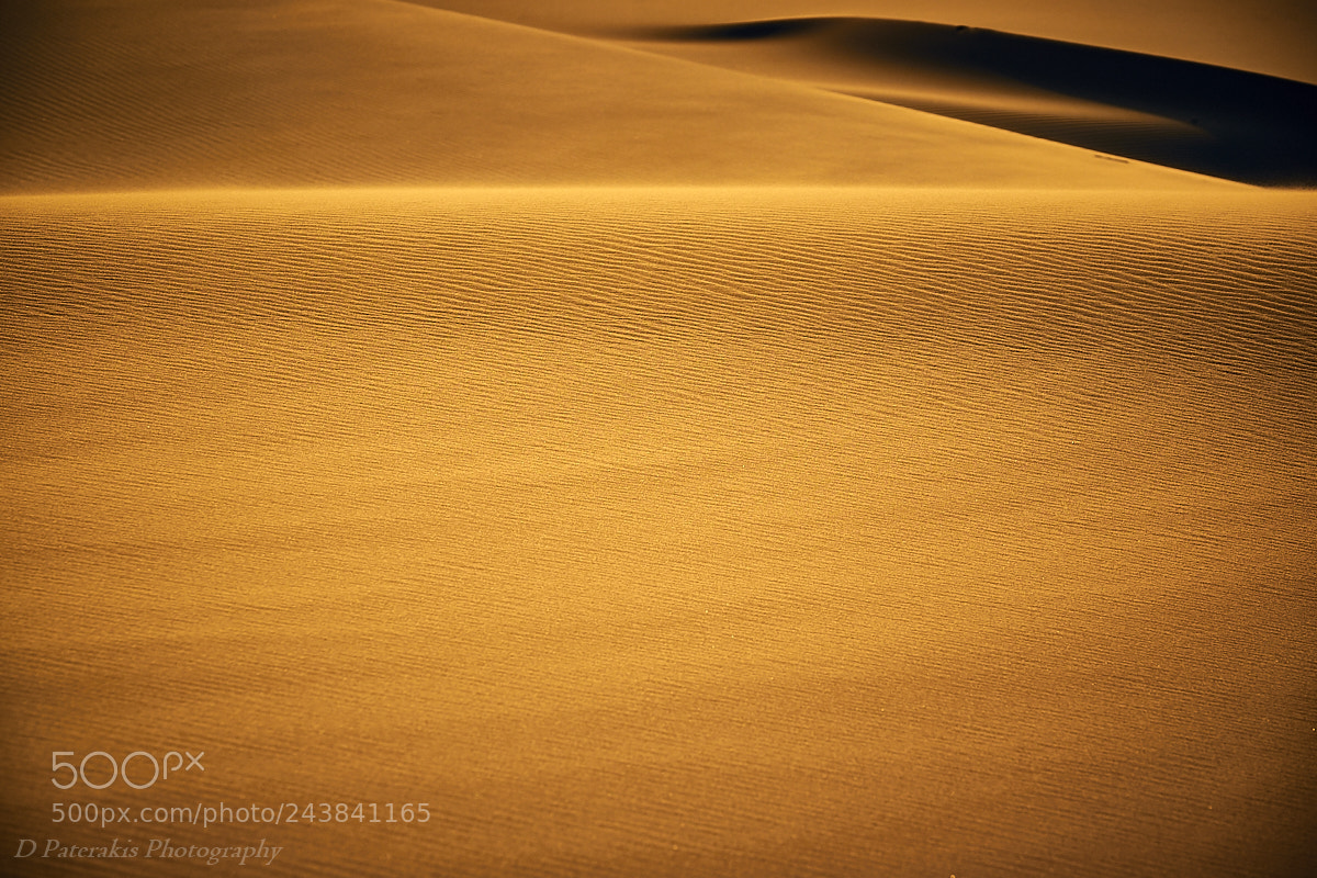 Fujifilm X-T1 sample photo. Golden light photography