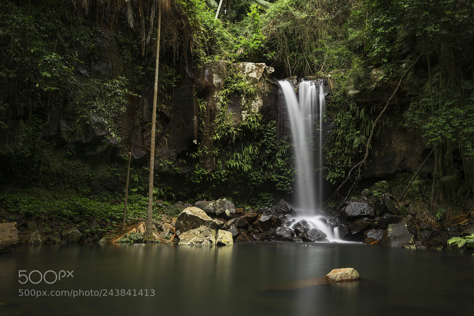 Nikon D810 sample photo. Curtis falls photography