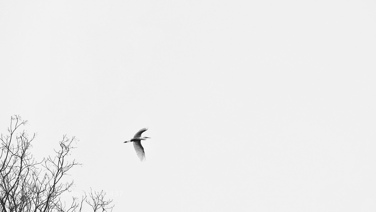 Olympus PEN-F sample photo. 离 photography