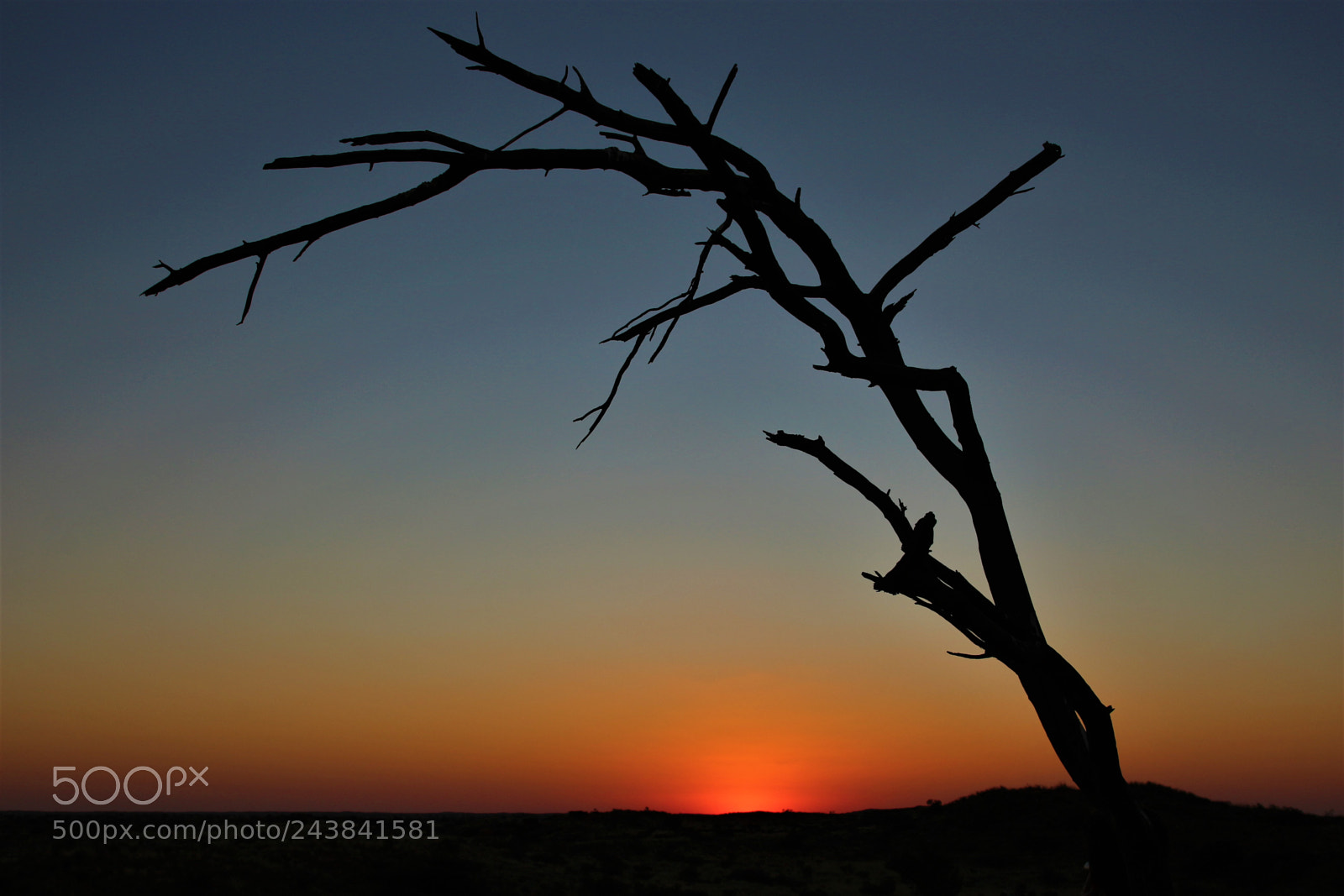 Canon EOS 100D (EOS Rebel SL1 / EOS Kiss X7) sample photo. Sundown photography