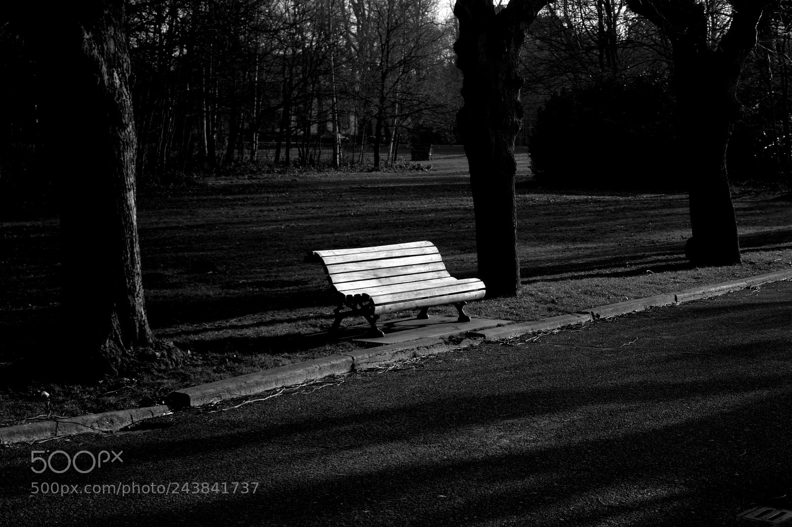 Nikon D3200 sample photo. Bench photography
