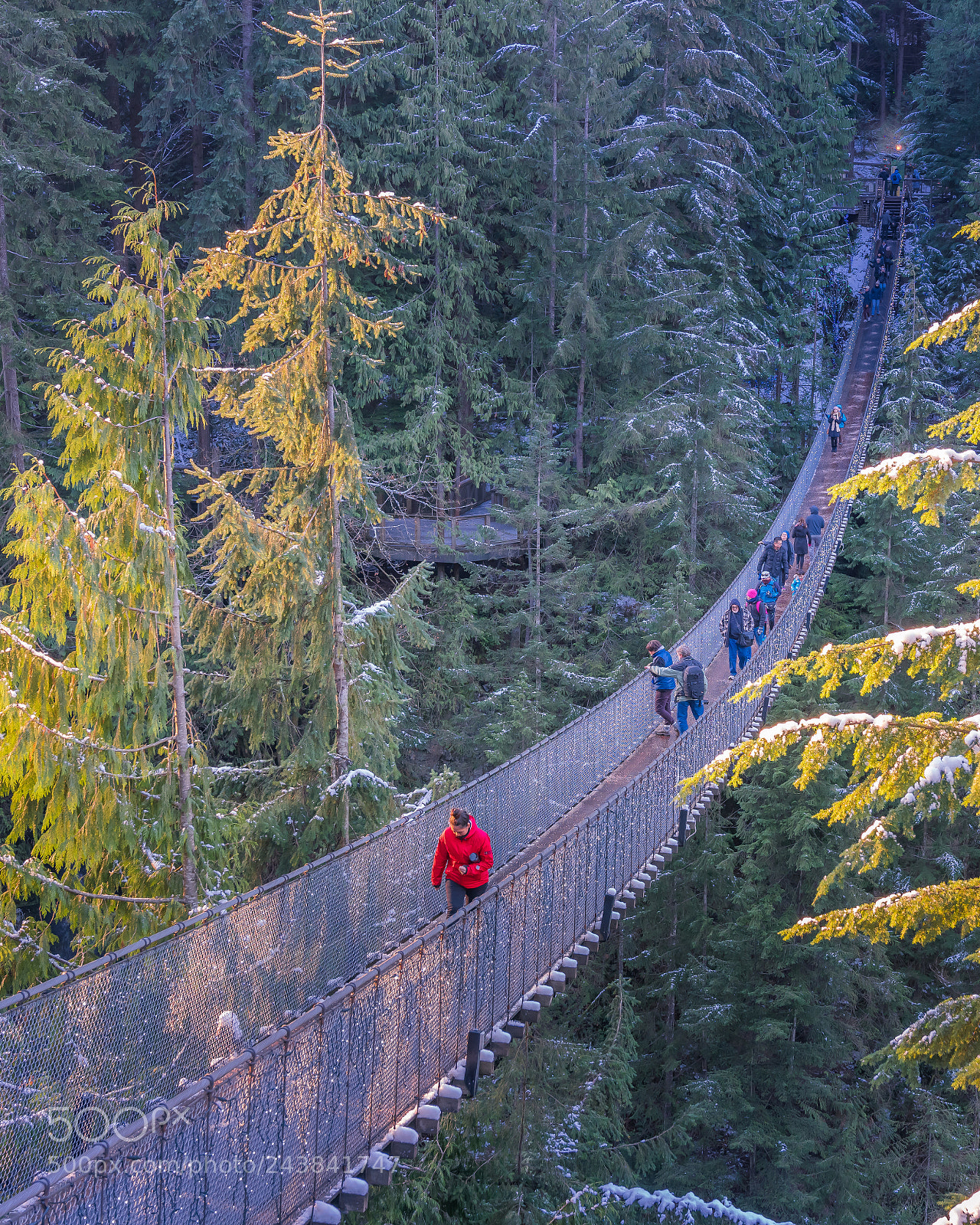 Sony a7R II sample photo. Canpilano suspension bridge,north vancouver photography