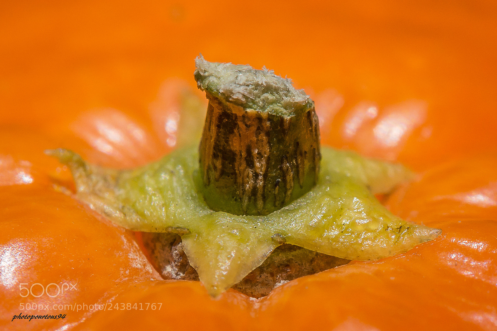 Nikon D7100 sample photo. Coeur clementine photography