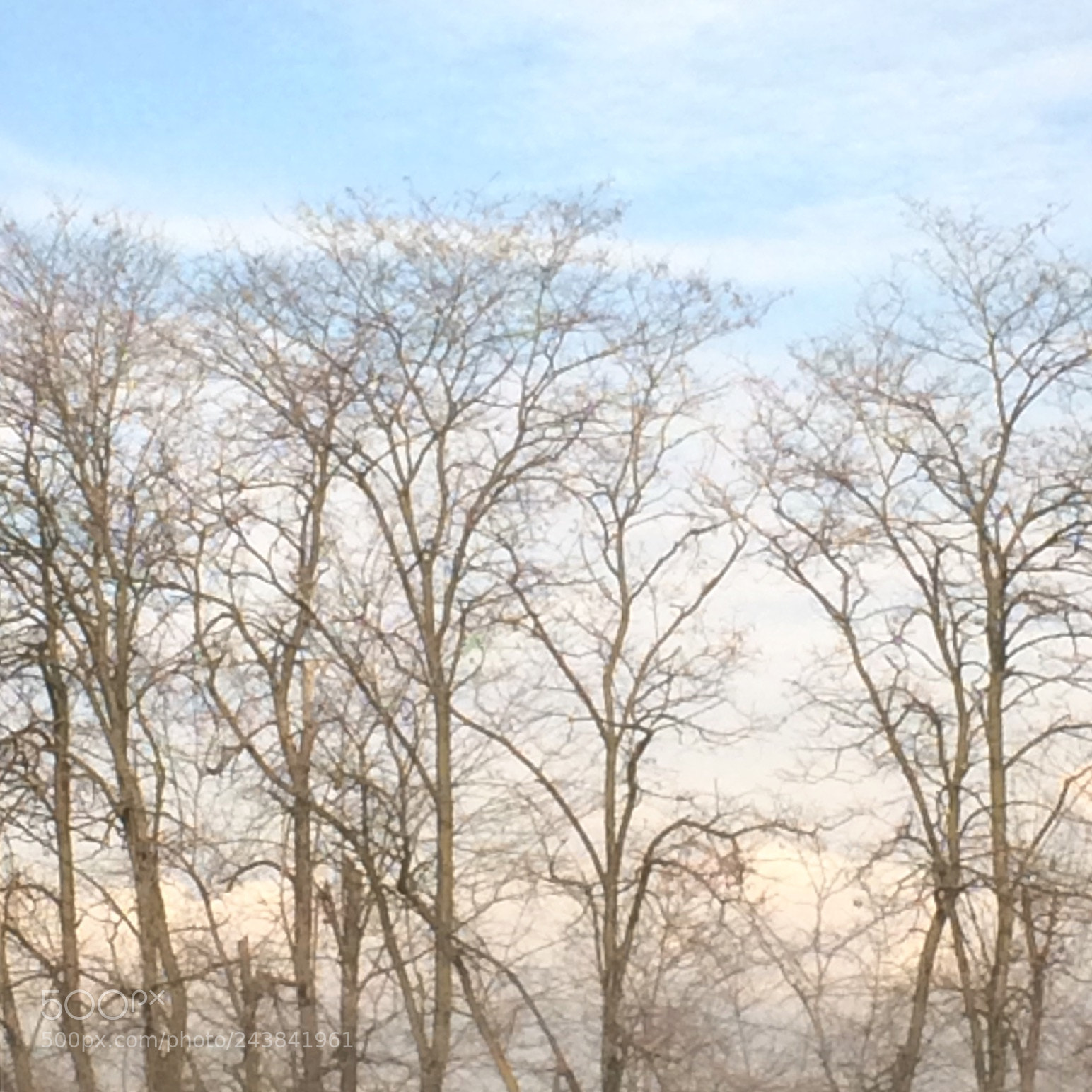 Apple iPhone 5s sample photo. Untitled photography