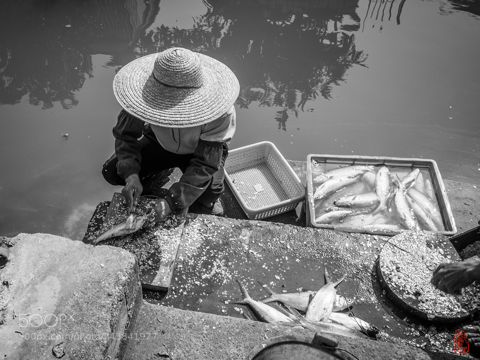 Ricoh GR sample photo. Untitled photography