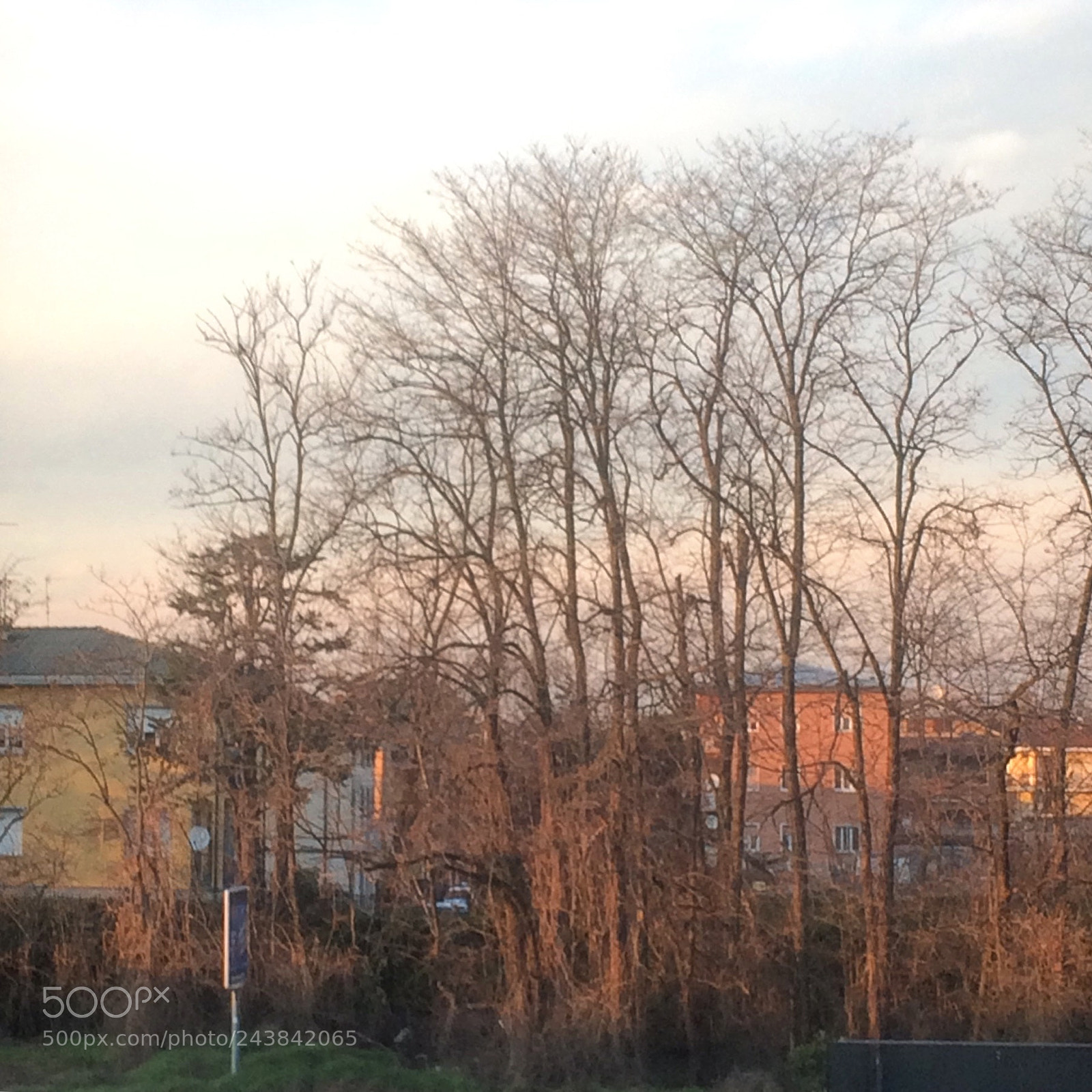 Apple iPhone 5s sample photo. Untitled photography