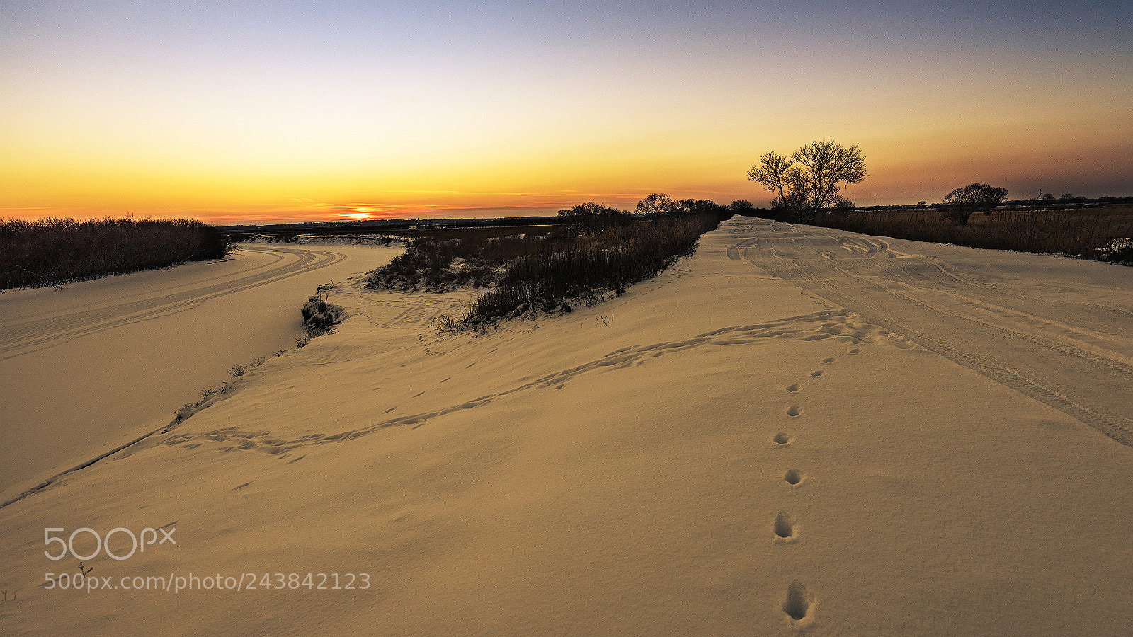 Sony a7R sample photo. Winter road. photography