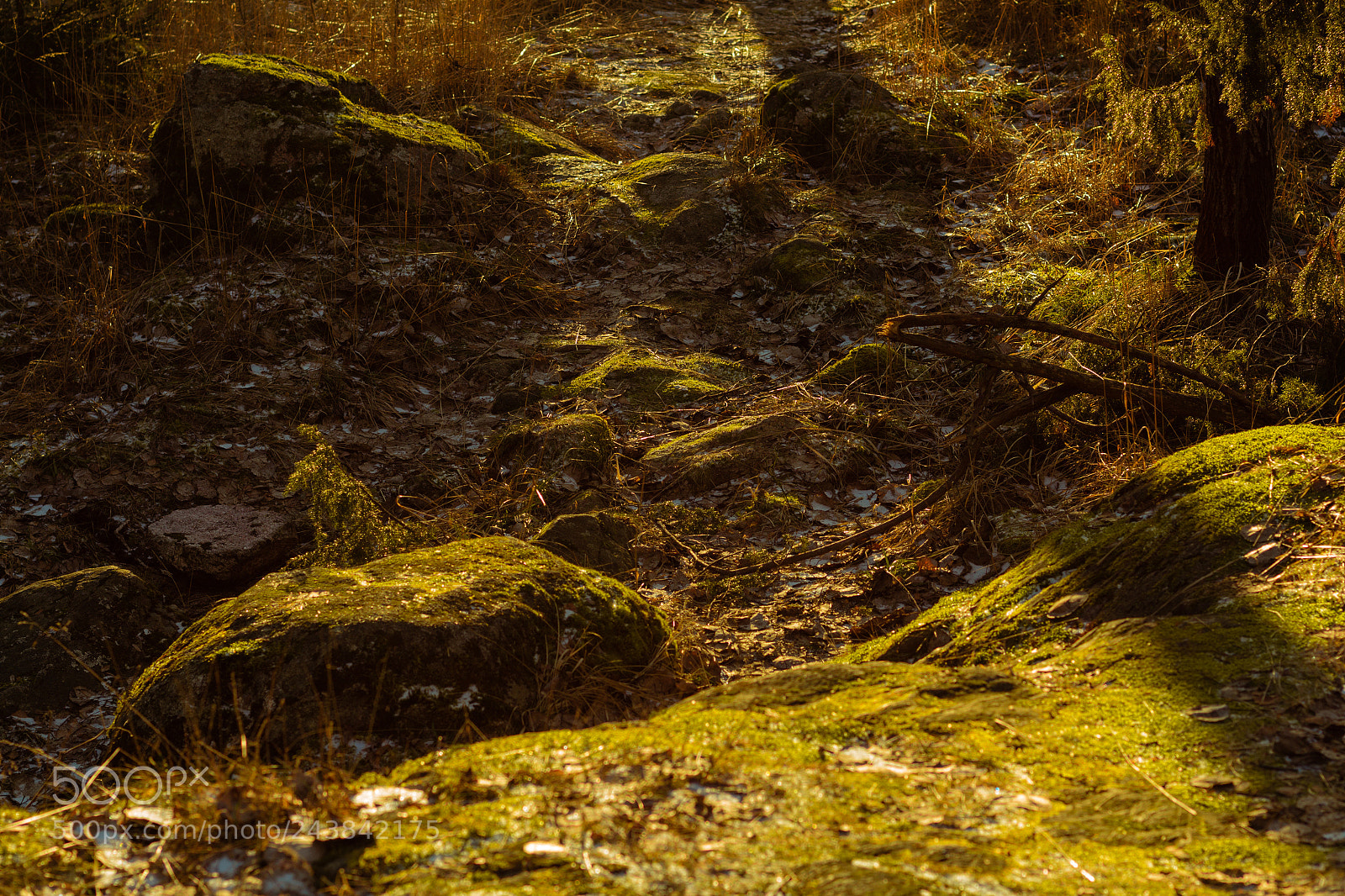 Canon EOS 60D sample photo. Sun between rocks photography