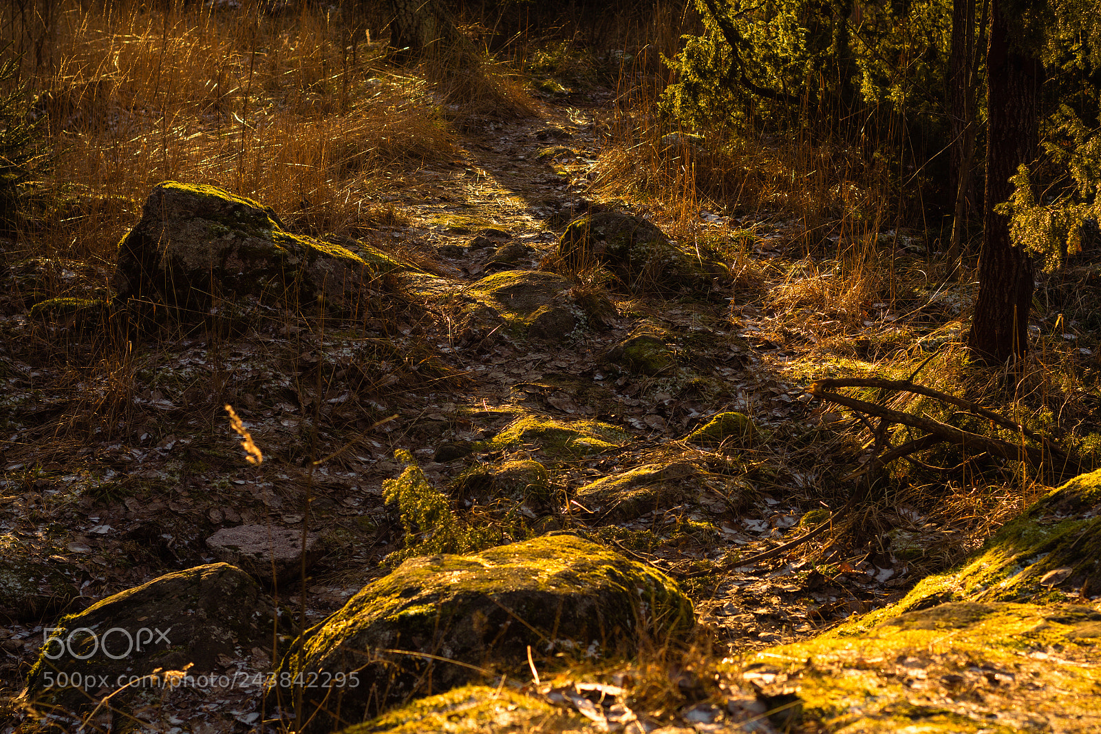 Canon EOS 60D sample photo. Sun between rocks photography
