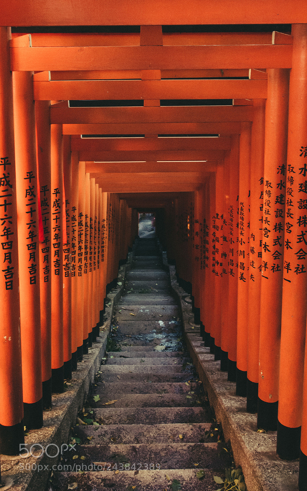 Nikon D7200 sample photo. Tunnel to infinity photography