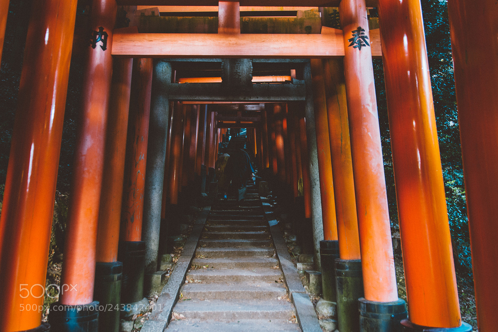 Nikon D7200 sample photo. Passage photography