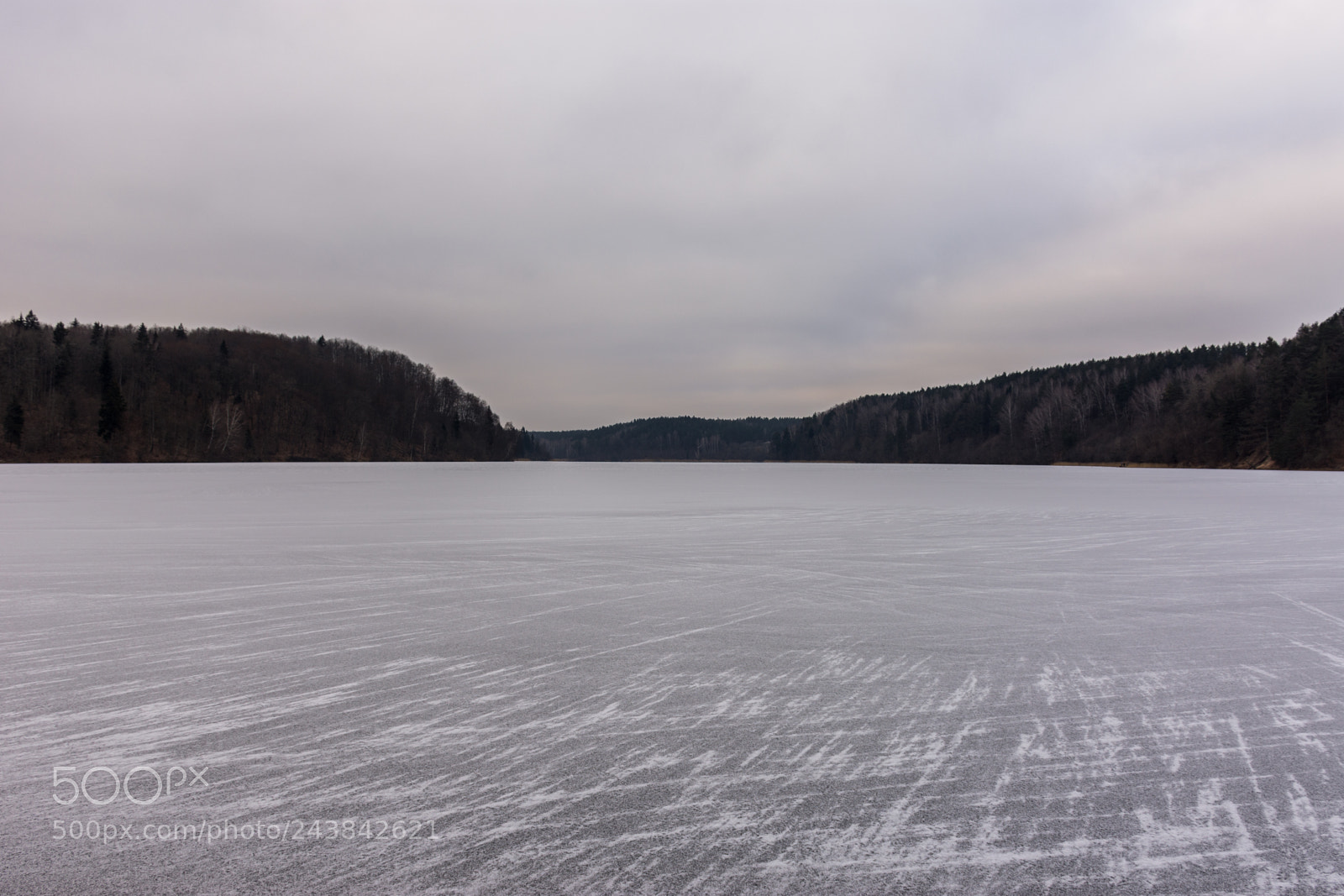 Nikon D7200 sample photo. Frozen photography