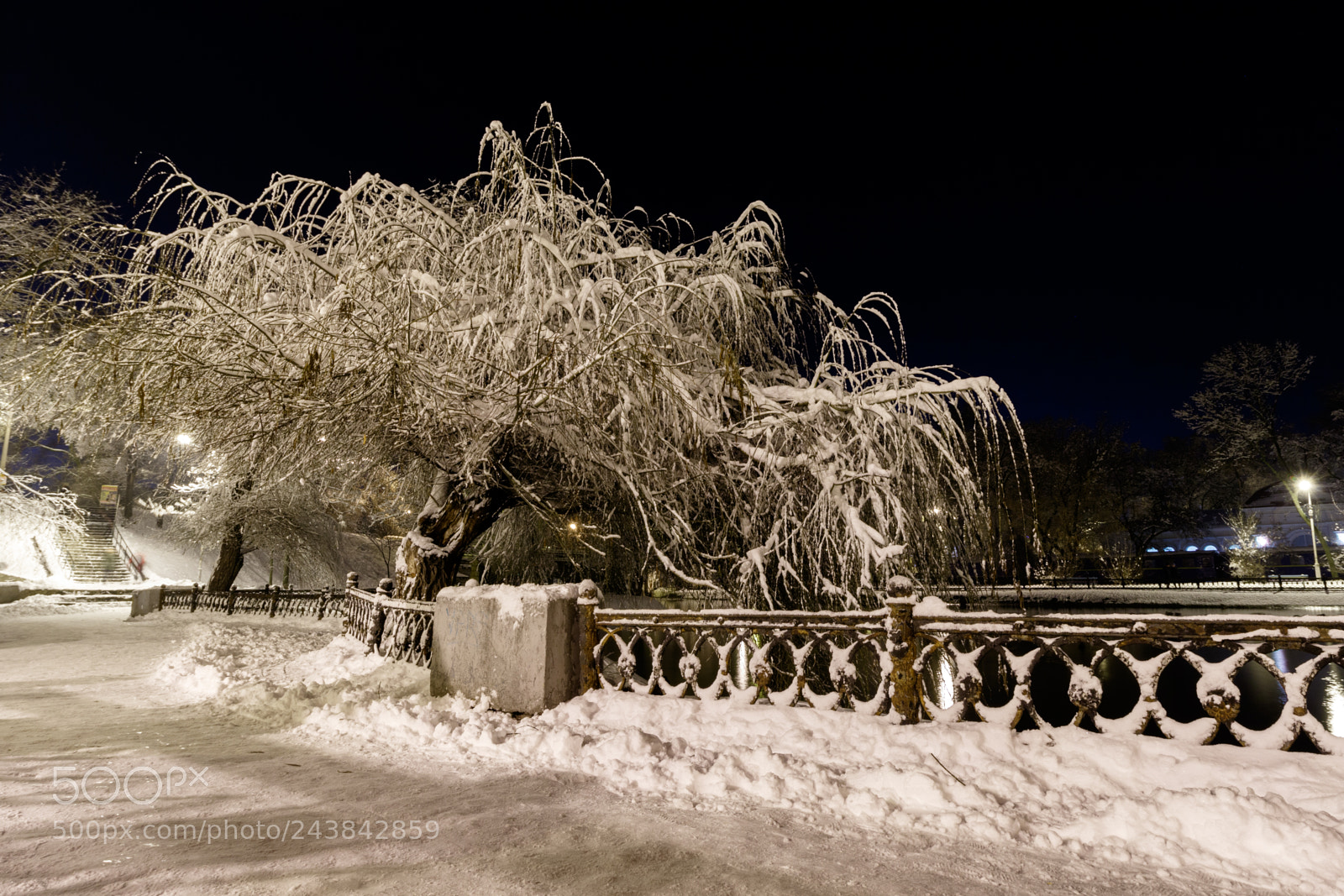 Canon EOS 7D Mark II sample photo. Frosty winter night photography