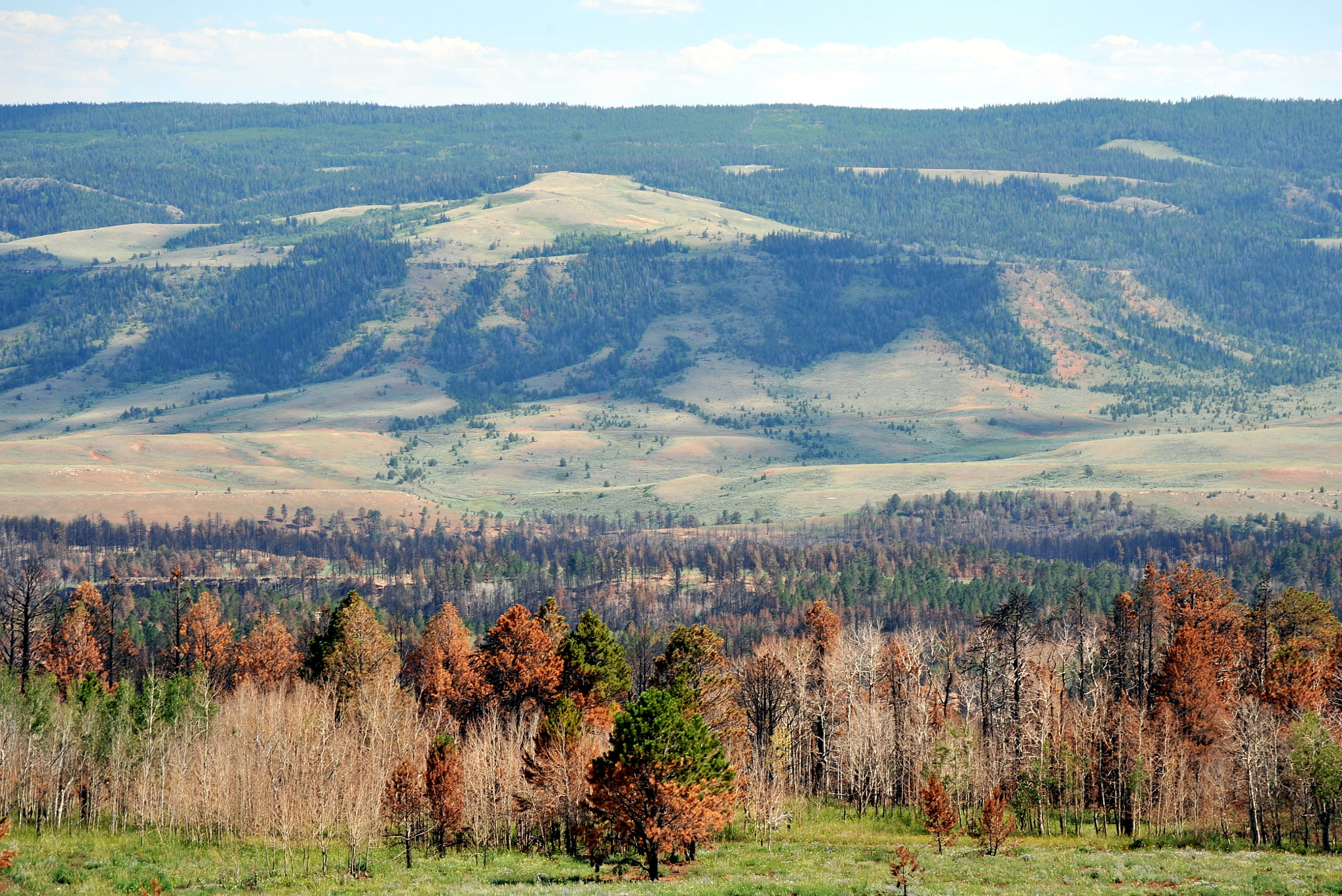 Nikon D3 sample photo. Mountain range beauty. photography