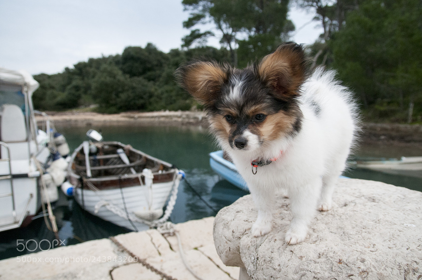 Nikon D300 sample photo. Aria di bravura photography