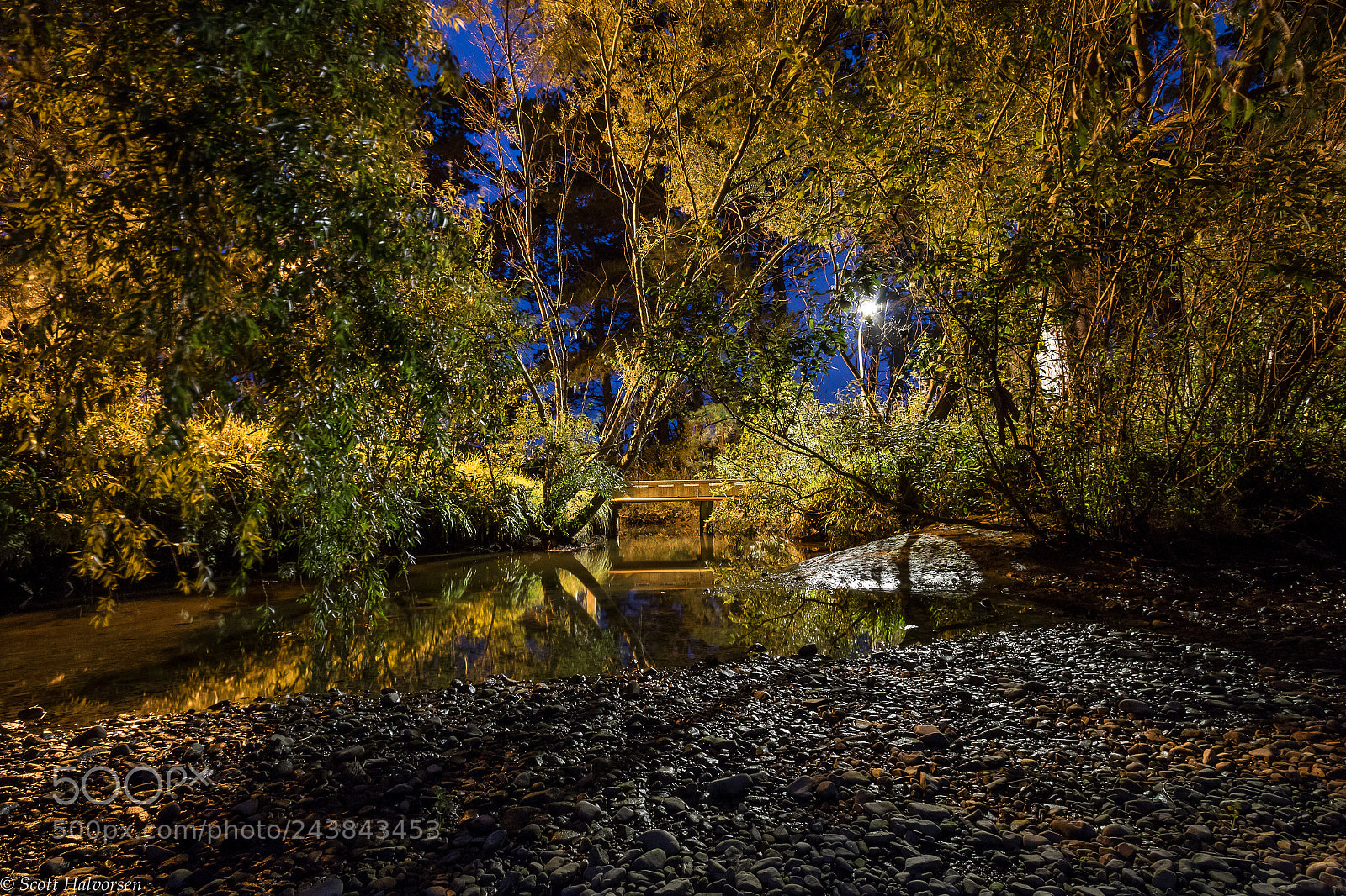 Canon EOS 7D Mark II sample photo. Summer nights photography