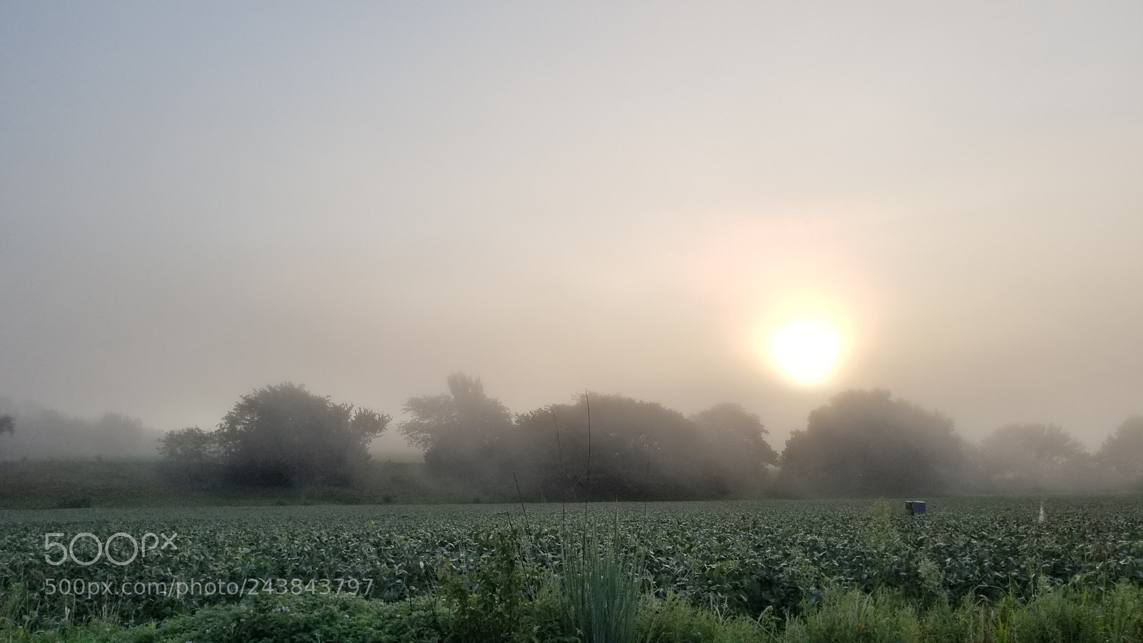 Samsung Galaxy S8+ sample photo. Untitled photography