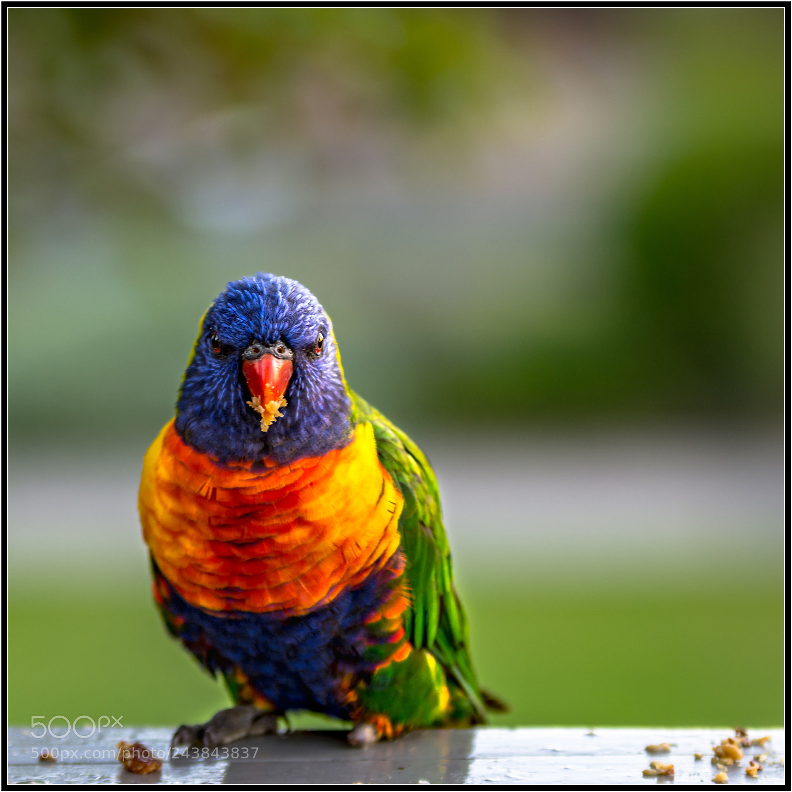 Nikon D7200 sample photo. My new mate..i named photography