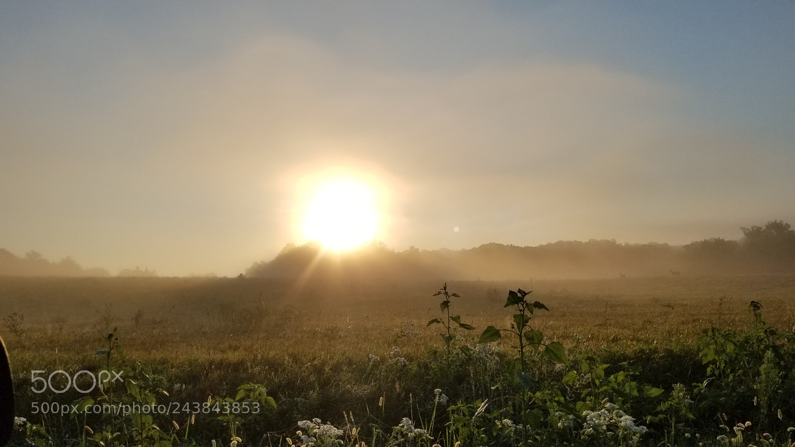 Samsung Galaxy S8+ sample photo. Untitled photography