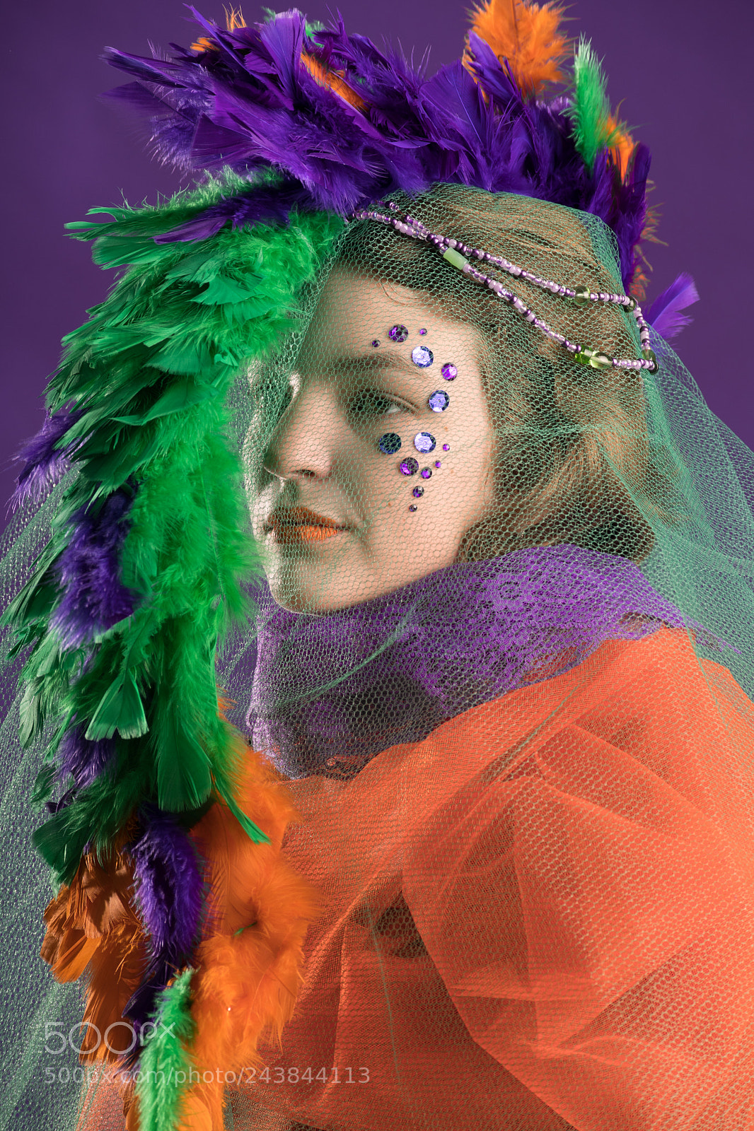 Nikon D500 sample photo. Secondary colors photography