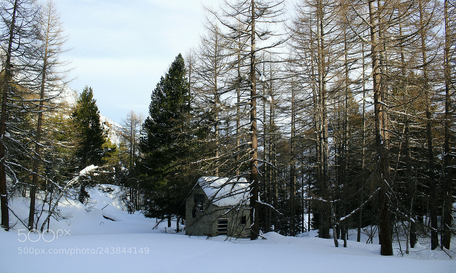 Canon EOS 1200D (EOS Rebel T5 / EOS Kiss X70 / EOS Hi) sample photo. Abandoned in the wood photography
