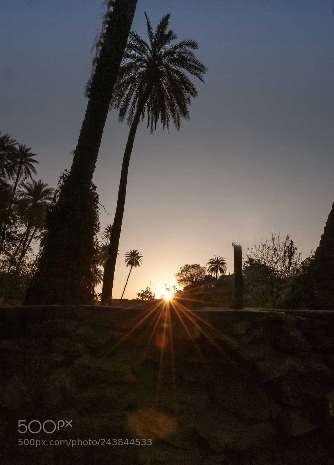 Nikon D90 sample photo. The morning moment photography