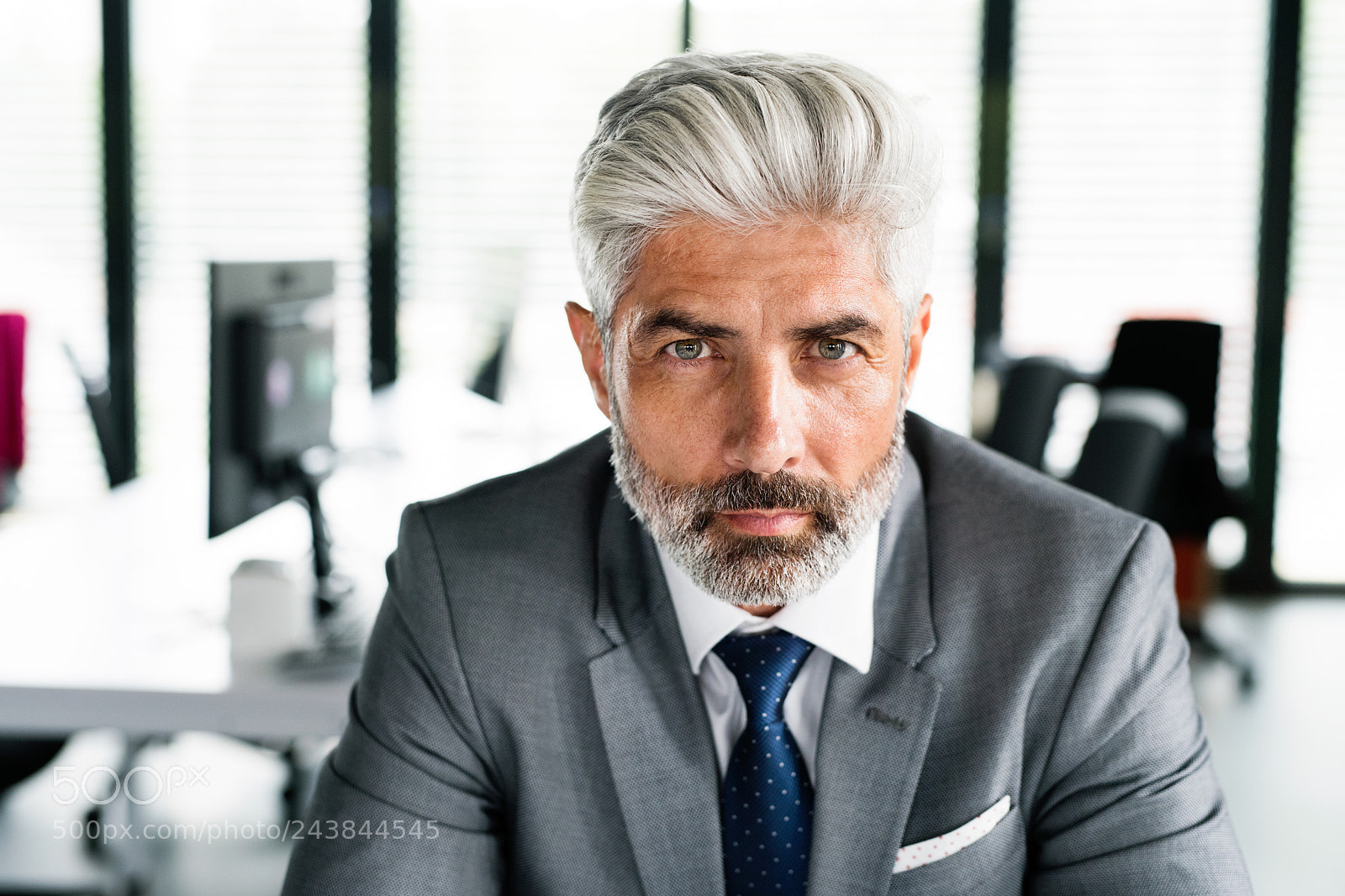 Nikon D5 sample photo. Mature businessman in gray photography