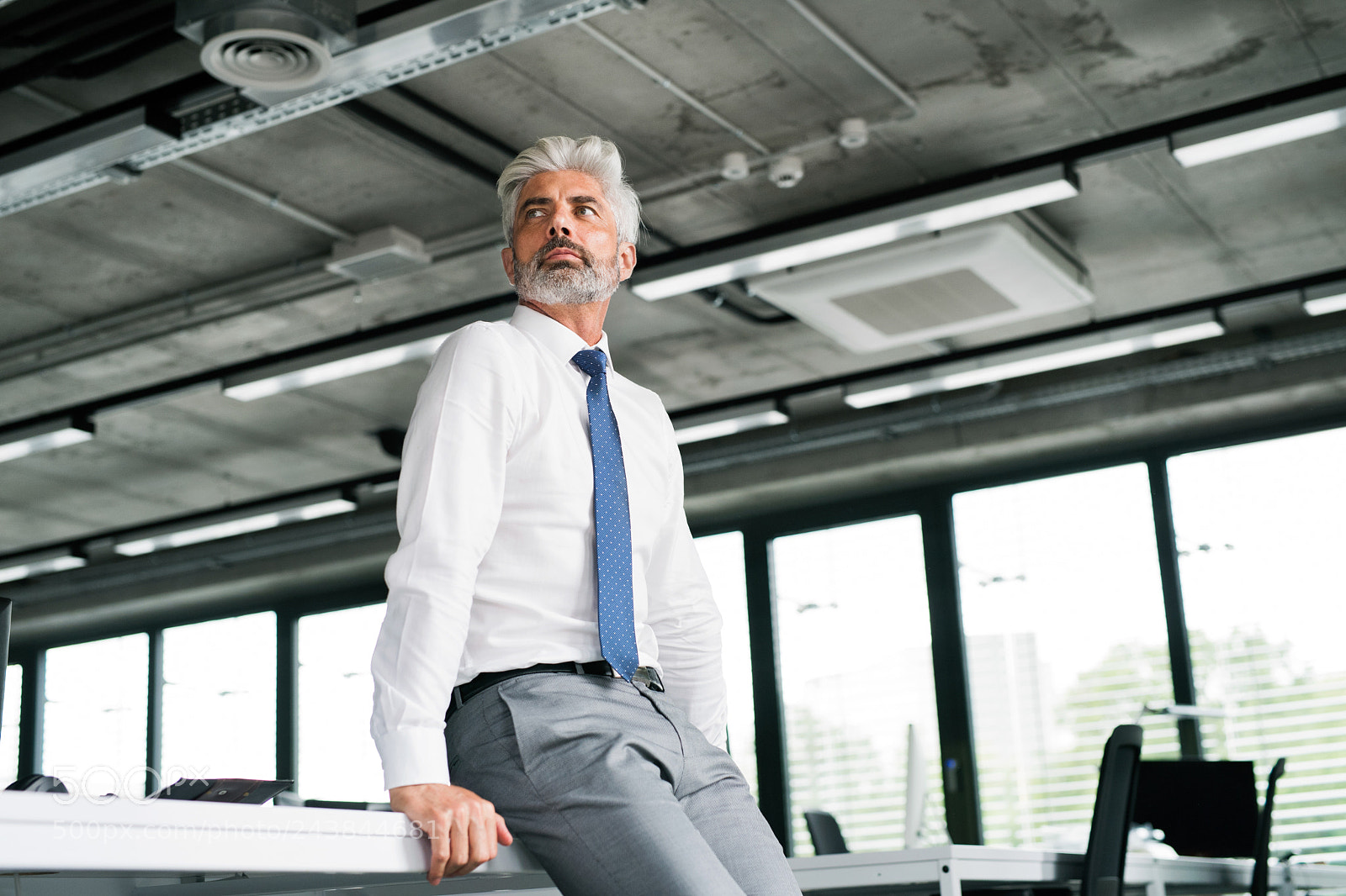 Nikon D5 sample photo. Mature businessman with gray photography
