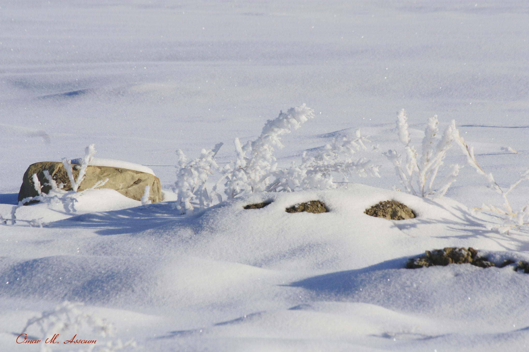 Canon EF 75-300mm F4.0-5.6 IS USM sample photo. Soft snow photography