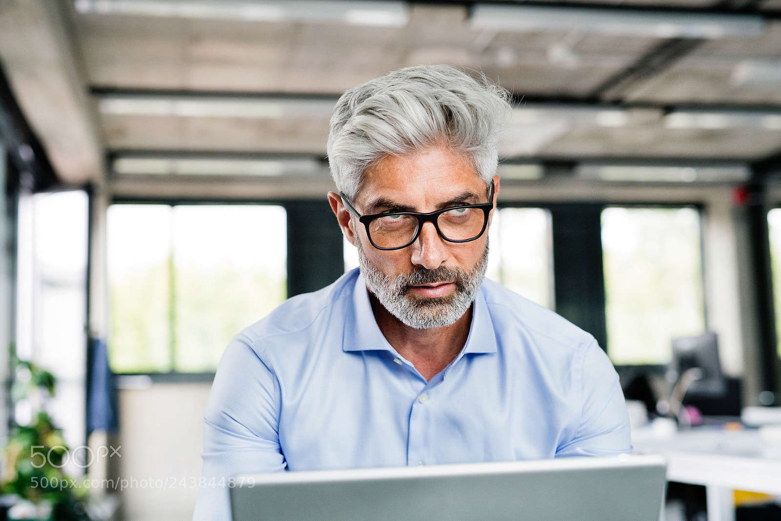 Nikon D5 sample photo. Mature businessman with laptop photography