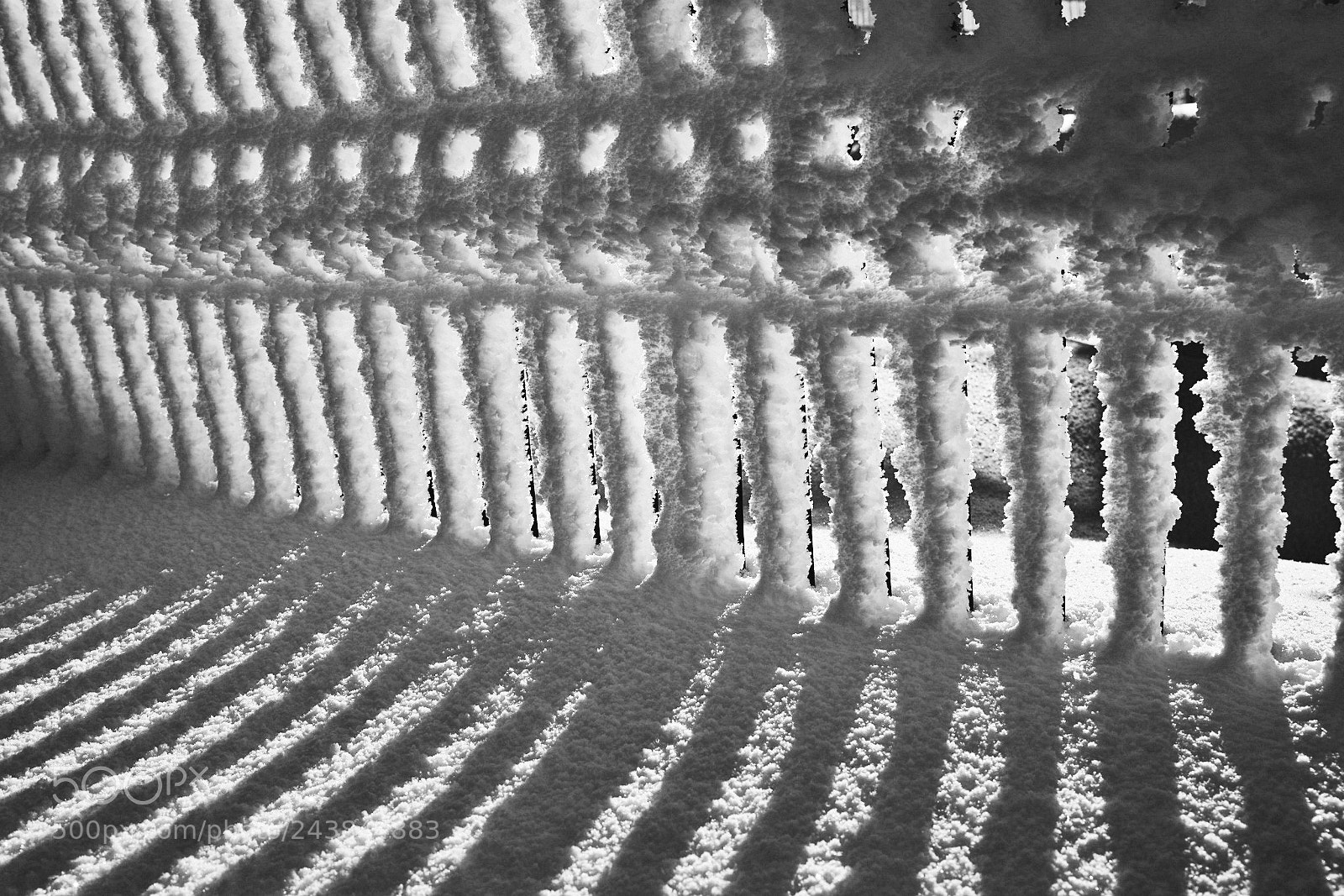 Canon EF 24-70mm F4L IS USM sample photo. Snow stripes photography