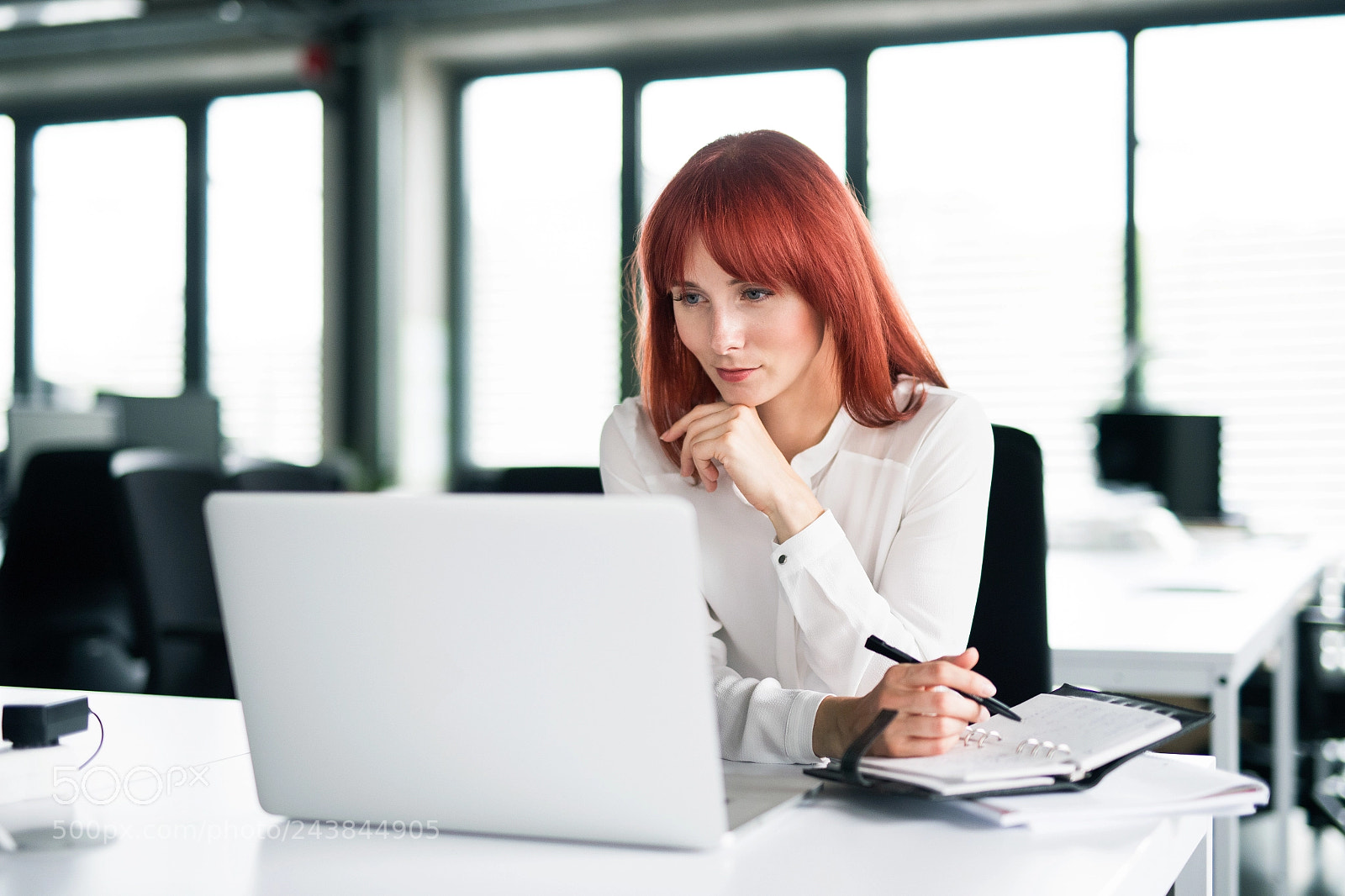 Nikon D5 sample photo. Businesswoman with laptop in photography