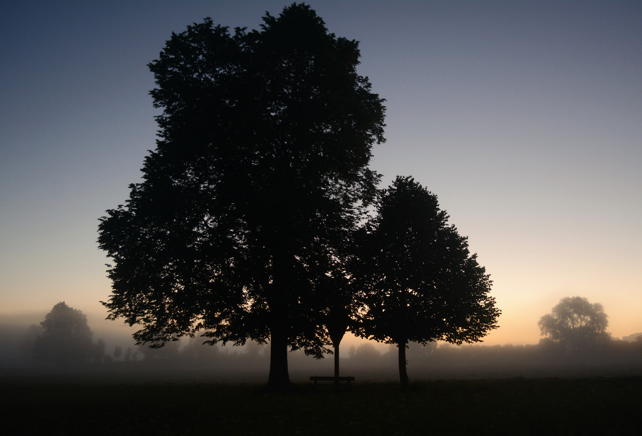 Nikon D7100 sample photo. Between night and day photography