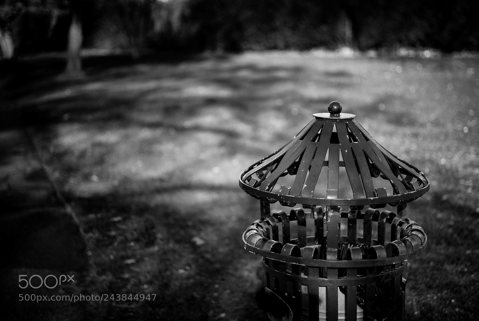 Leica M (Typ 240) sample photo. Design photography