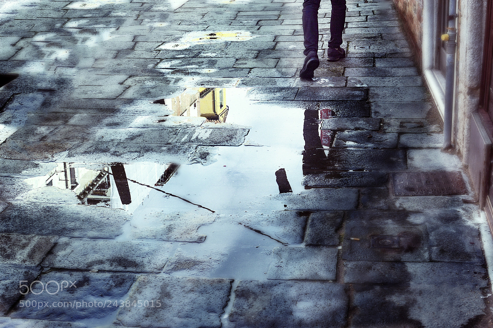 Nikon D7100 sample photo. Walking away photography