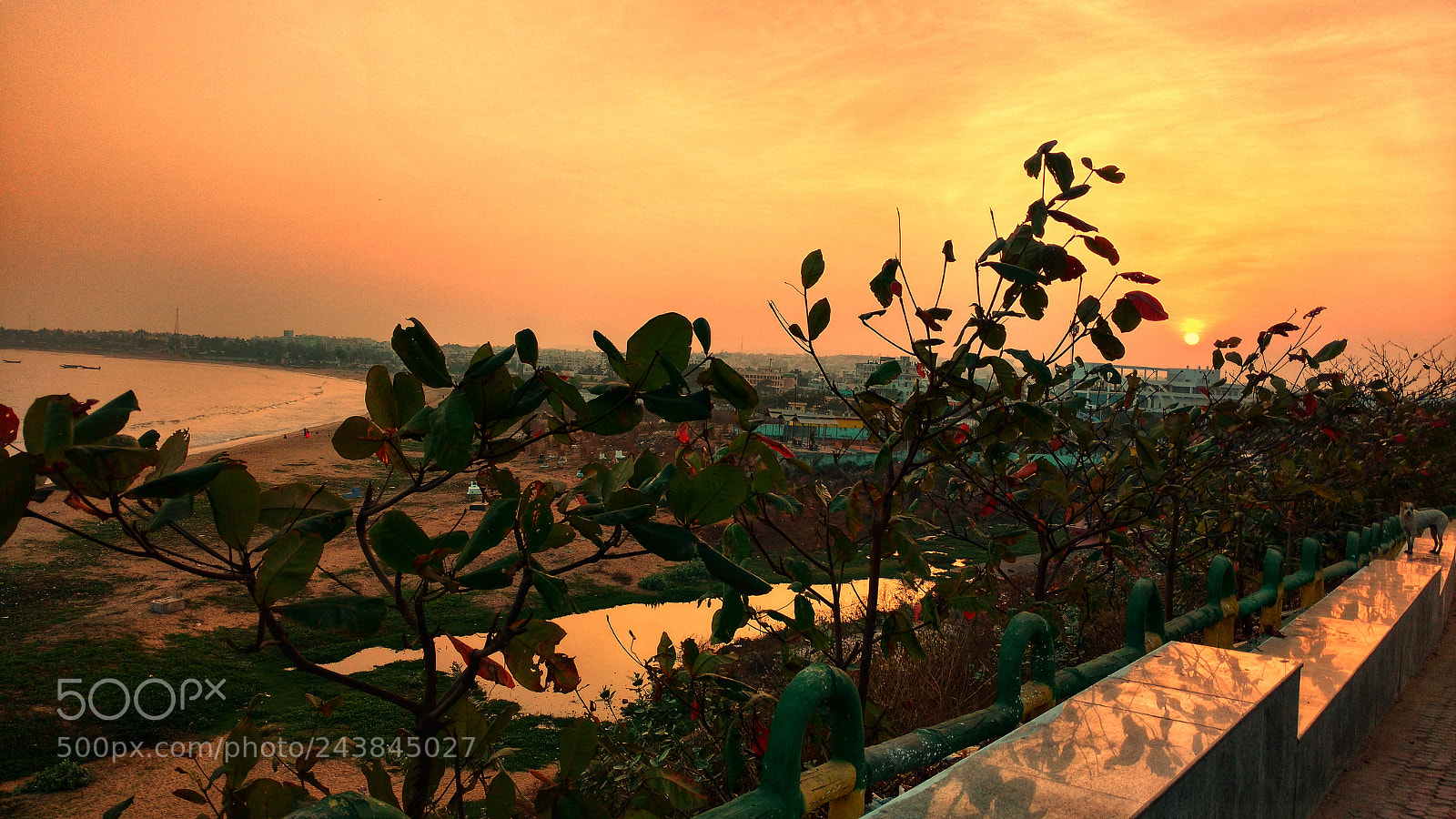 Motorola Moto X Play sample photo. Orange sky photography