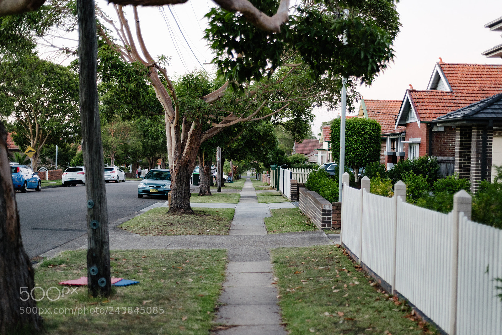 Nikon D810 sample photo. Walkway photography