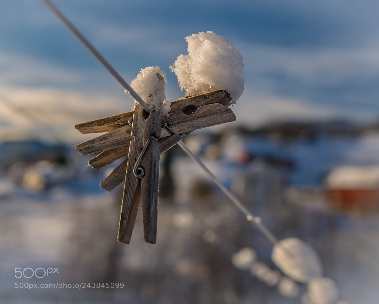 Nikon D610 sample photo. Snow photography