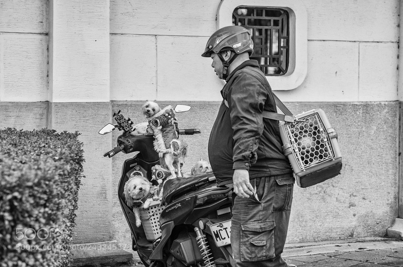 Fujifilm X-T2 sample photo. Taipei. photography