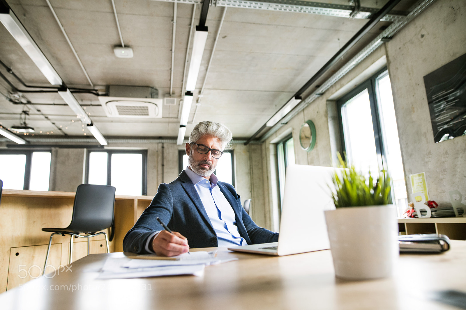 Nikon D5 sample photo. Mature businessman with laptop photography