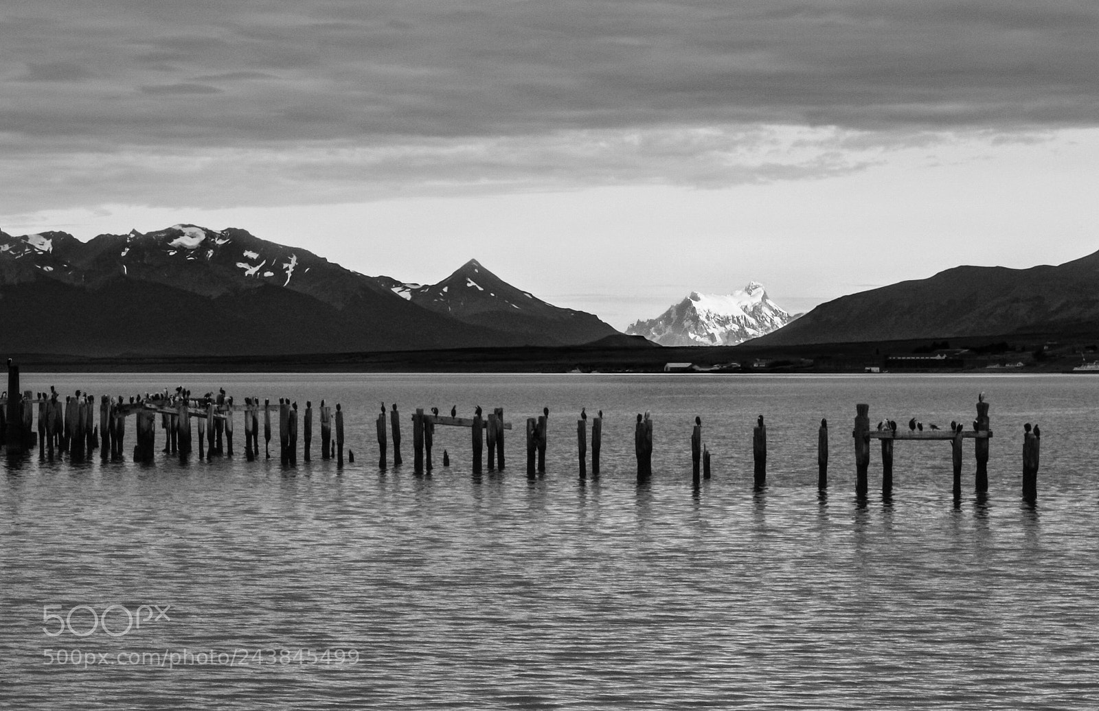 Canon EOS 450D (EOS Rebel XSi / EOS Kiss X2) sample photo. Puerto natales, patagonia, chile. photography