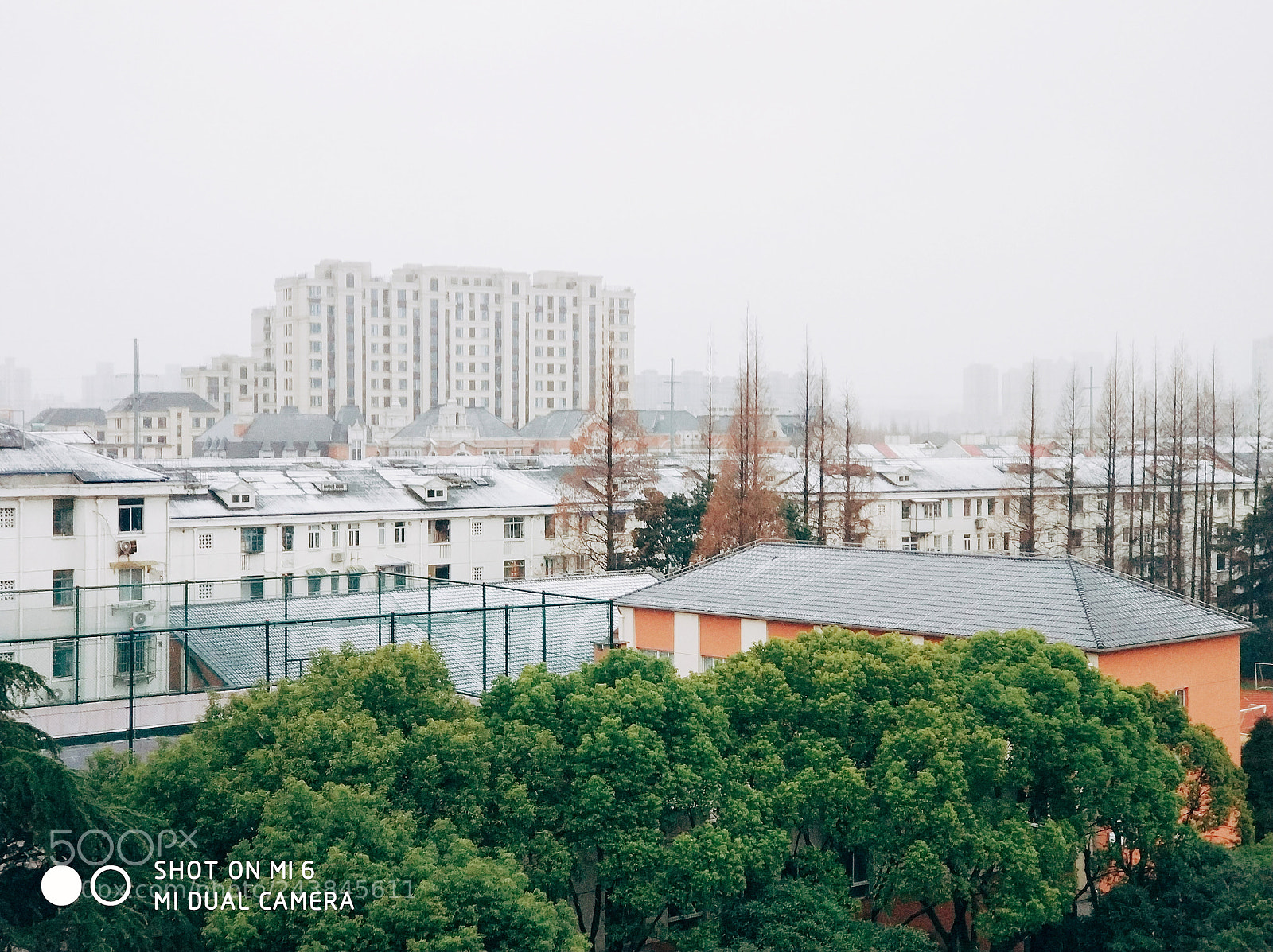 Xiaomi MI6 sample photo. Untitled photography