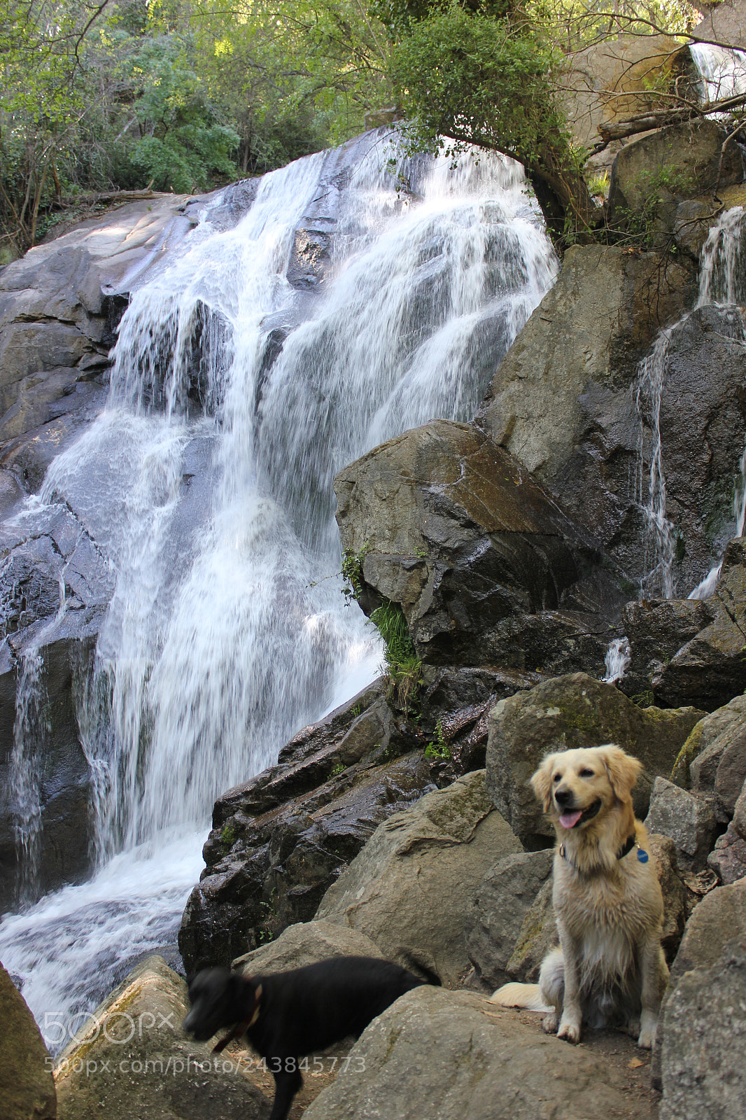 Canon EOS 550D (EOS Rebel T2i / EOS Kiss X4) sample photo. Magic waterfall photography