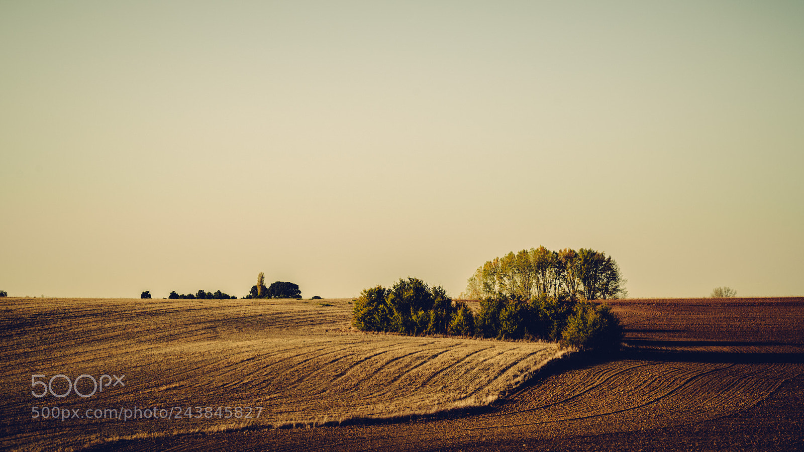 Sony a7R II sample photo. Eterna fuente photography